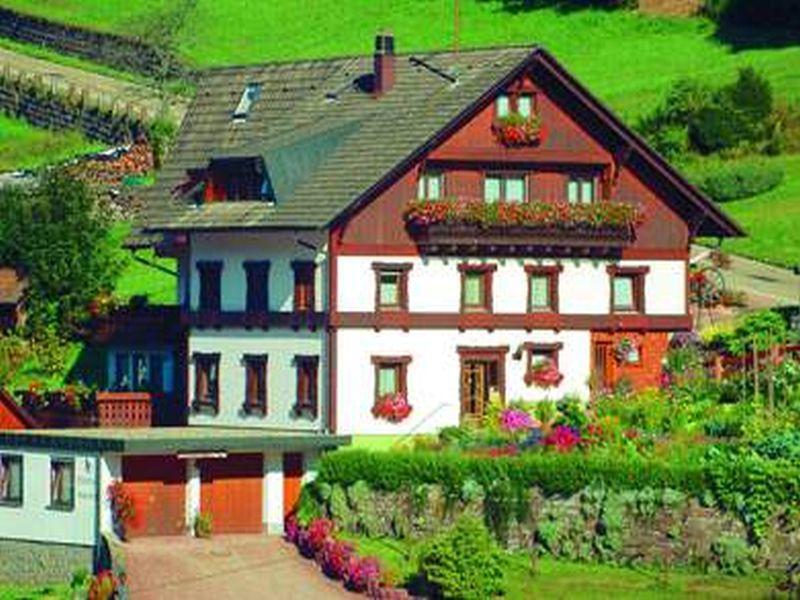 Gaestehaus Heimenberg Bad Rippoldsau-Schapbach Екстериор снимка
