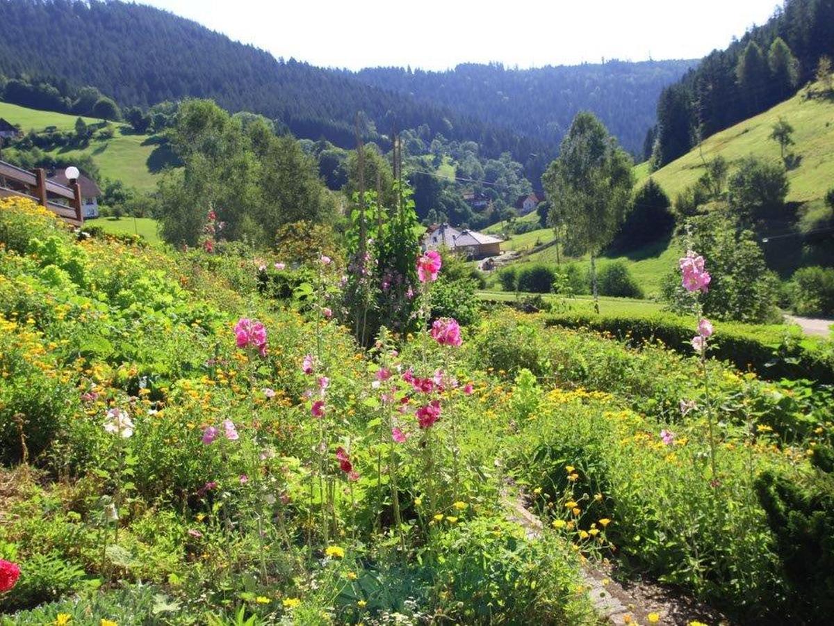 Gaestehaus Heimenberg Bad Rippoldsau-Schapbach Екстериор снимка