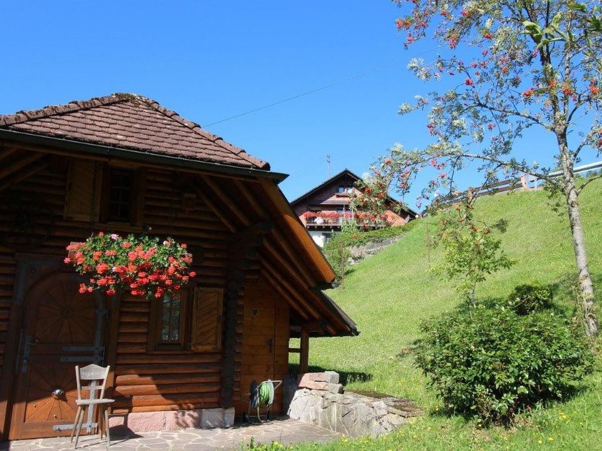 Gaestehaus Heimenberg Bad Rippoldsau-Schapbach Екстериор снимка